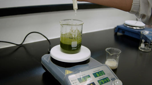 Taza de matcha preparada solo con agua, apta para el ayuno intermitente