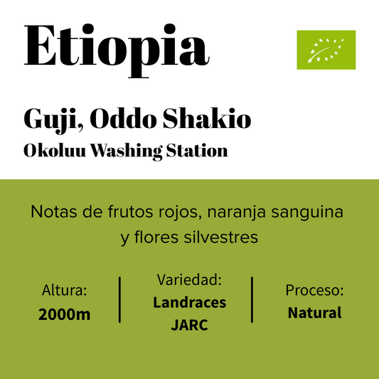 Etiopia - Guji - Okoluu Washing Station - Natural - Orgánico