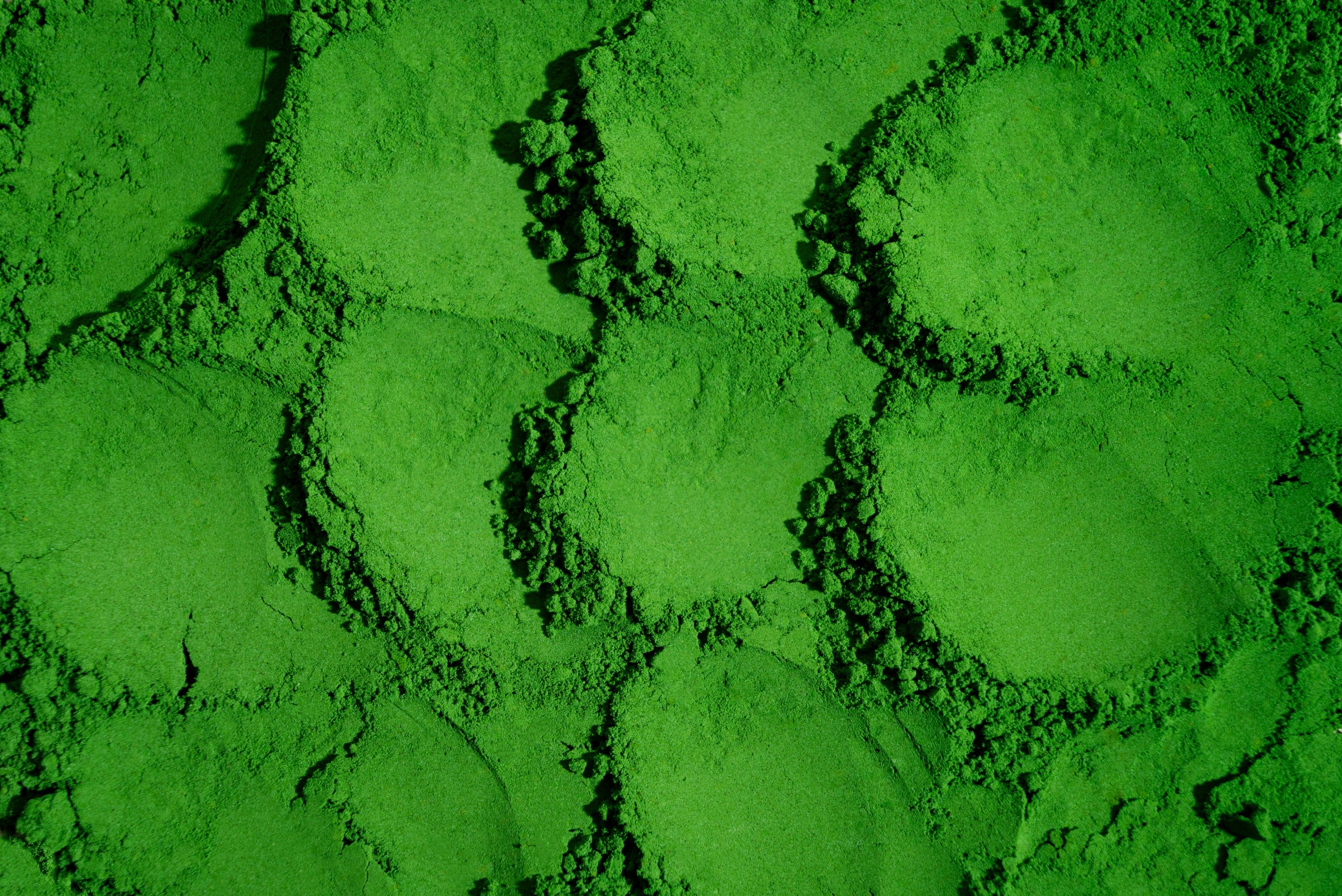 Detalle de polvo verde de matcha en primer plano